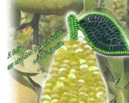 Kit Poire KBP 100/01